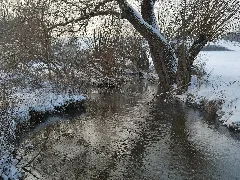 Glems Im Winter (5)