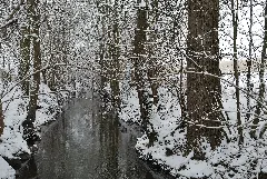 Glems In Winter (1)