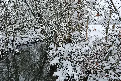 Glems In Winter (2)