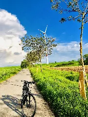 Go Green Go Cycling