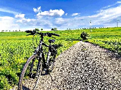 Go Green Go Cycling For The Environment!