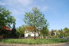 Goetheeiche Schöneiche 2