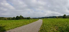 Goldenes Tal Naring