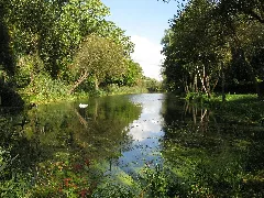 Golmer Stichkanal