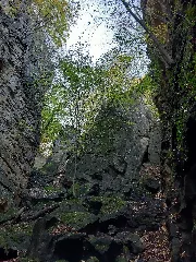 Gorge Du Loup (Echternach) 07