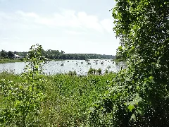 Gottmannsfoerde Rehmsee 2010 06 29 006