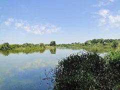 Gottmannsfoerde Stausee 2010 06 29 002