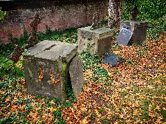 Grabstätte Georg Ritter Und Familie