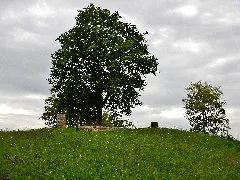 Grafenberg Panoramio