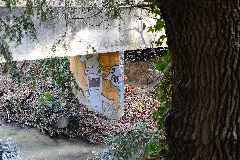 Graffiti @ Chêne Bourg (50834576321)
