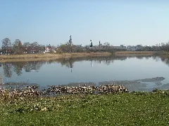 Greifswald Fleischervorstadt Teich Fleischerwiese April 2009 Sl272235