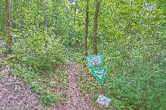 Grenzach Wyhlen Naturschutzgebiet Ruschbachtal Bild 20