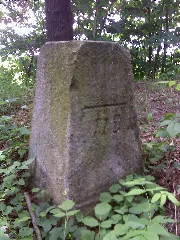 Grenzstein 119 Ks Kp