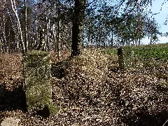 Grenzstein 29 Ks Kp