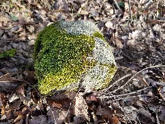 Grenzstein Waldau Waldwiesen (Stuttgart) Nr 29 Seite 2