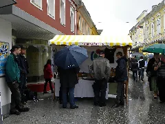 Grieskirchen Wikimedia Stand Bei Der Ortsbildmesse
