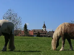 Grömbach Im Schwarzwald