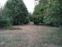 Groß Enzersdorf Israelitischer Friedhof