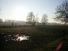Grosse Wiese01