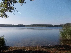 Großer Lausiger Teich