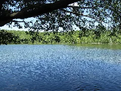Großer Zeschsee2
