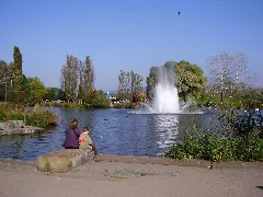 Grün 80 Weiher