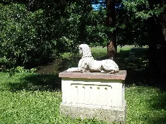 Grünfelderparksphinx