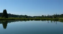 Grueninger Ried