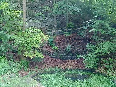 Grüntopf Felsen