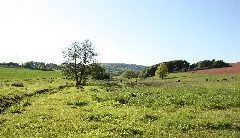 Güdesweiler Gombachtal 20100523 01
