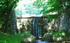 Guentherz 2013 06 08 0320 Wien13 Lainzerbach Lainzer Teich