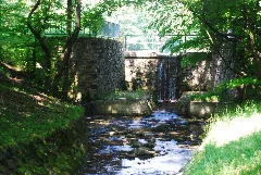 Guentherz 2013 06 08 0322 Wien13 Lainzerbach Lainzer Teich