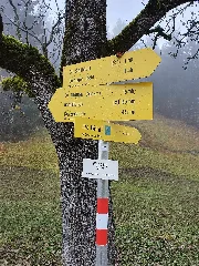 Guidepost Werlberg