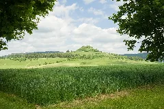Gunningen 5761 Iridientedit
