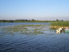 Gut Moor483