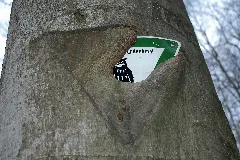 Haensel Und Gretel Sengscheid 4
