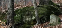Haensel Und Gretel Sengscheid 6