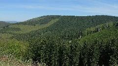 Härdler Von Westen