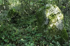 Häslerhau 7 Swg0016
