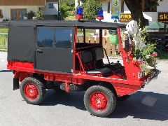 Haflinger