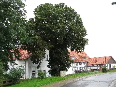 Hagebuttenstraße 12, 1, Vogelbeck, Einbeck, Landkreis Northeim