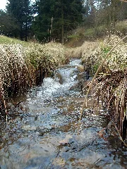Hahnengraben 2013 03 10 17 22 18