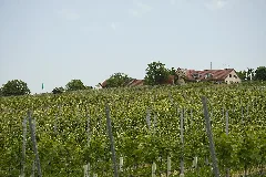 Haigern