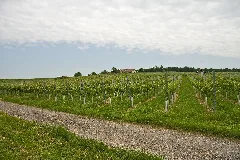 Haigern (Berg)