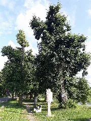Hainspitzer See 6