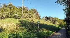 Halbtrockenrasen In Den Gewannen Schildwache Und Spitalholz