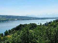 Halwiler See02