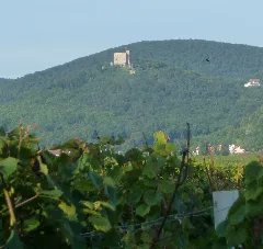 Hambacher Schloss Panoramio