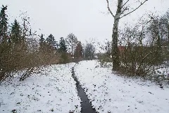 Hamborg Niendoerp Seesreingraben2.Jgp