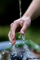 Hand (47739122)